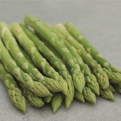 Szparag Bacchus f1 500 nasion prec. st